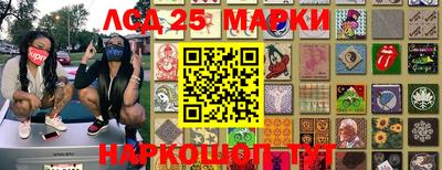 a pvp Аргун